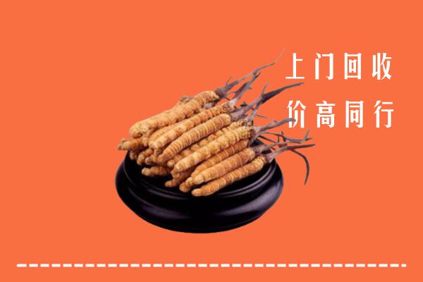 高价求购：大理州巍山县回收散虫草