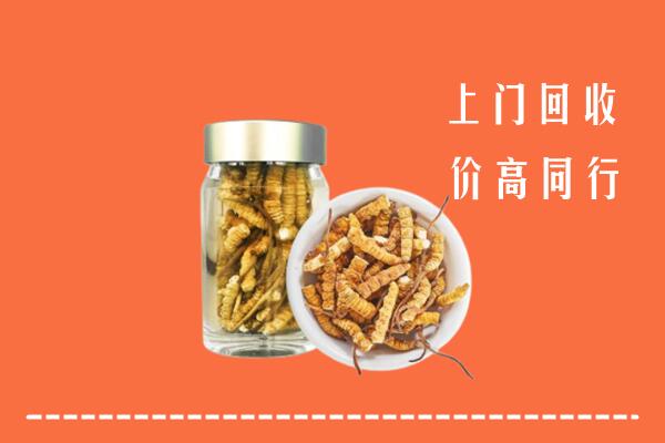 大理州巍山县回收冬虫夏草