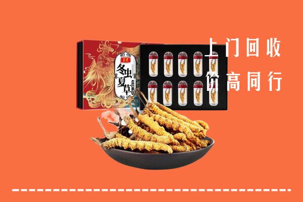 大理州巍山县回收虫草